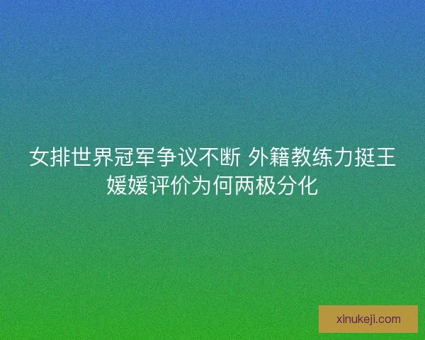 女排世界冠军争议不断 外籍教练力挺王媛媛评价为何两极分化